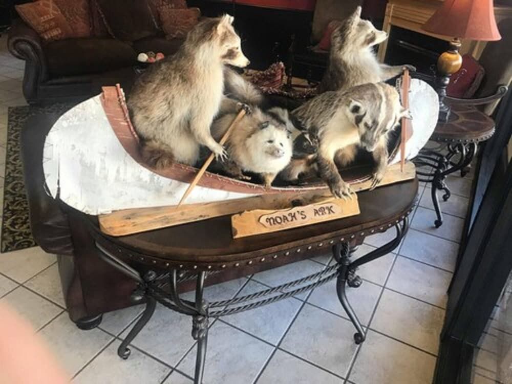 Days Inn by Wyndham Abilene 3