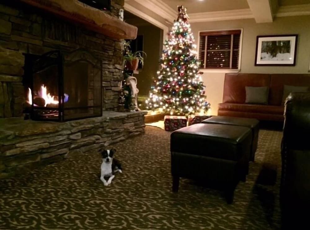 Mammoth Creek Inn 2
