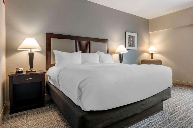 Comfort Inn and Suites Port Charlotte-Punta Gorda 3