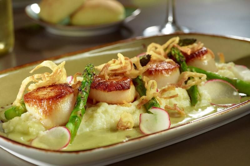 Atlanta Marriott Peachtree Corners 2