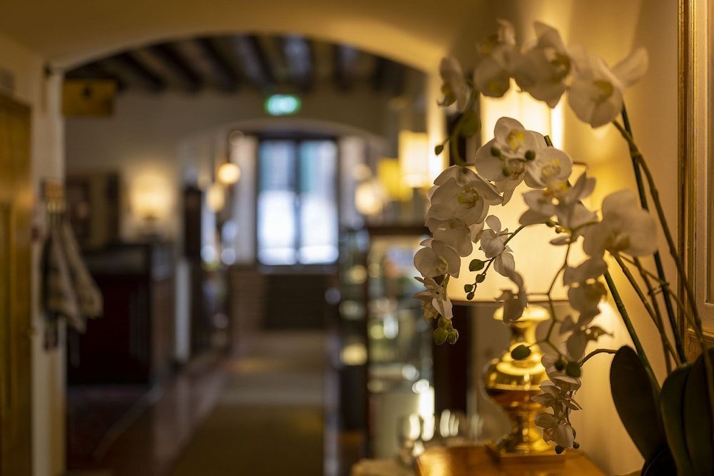 Hotel Villa Cipriani 3