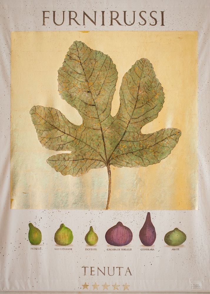 Furnirussi Tenuta 2