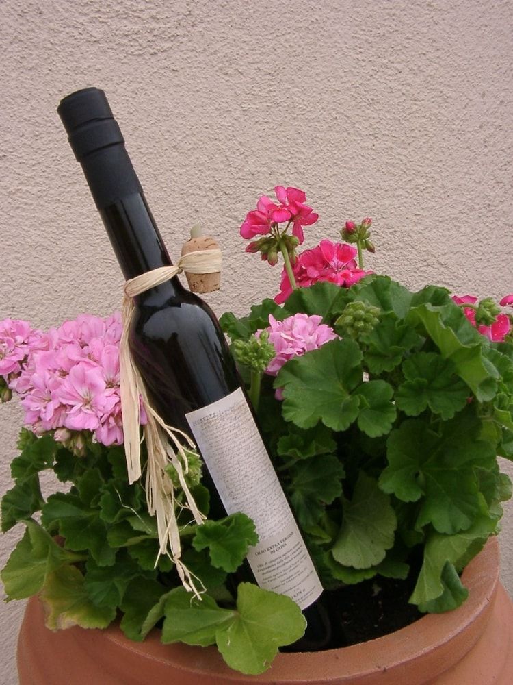 Residenza Cardinal Girolamo Di Moncelli 3