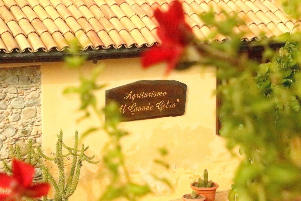 Al Grande Gelso 1