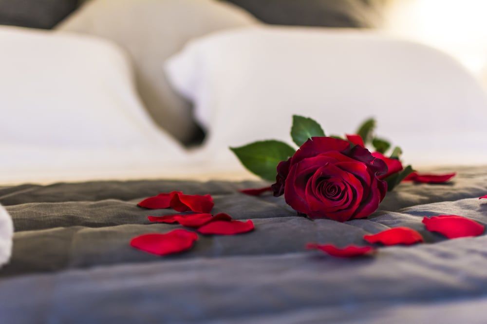 Agriturismo Il Megalite 3