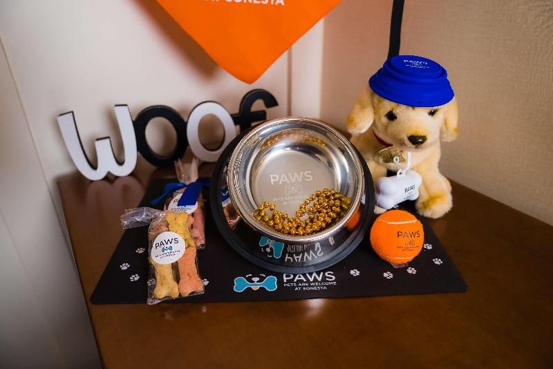 Sonesta Simply Suites Boston Burlington 3