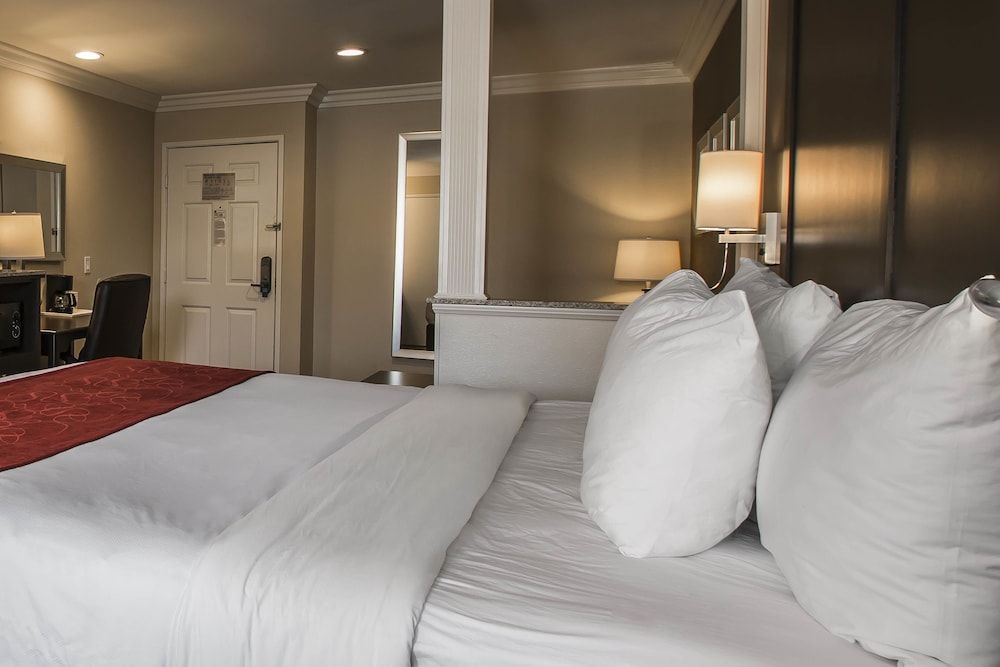 Comfort Suites at North Camp Pendleton 3