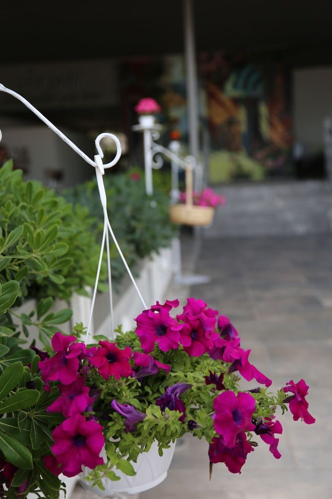 B&B Yüzbaşı Beach Hotel 2