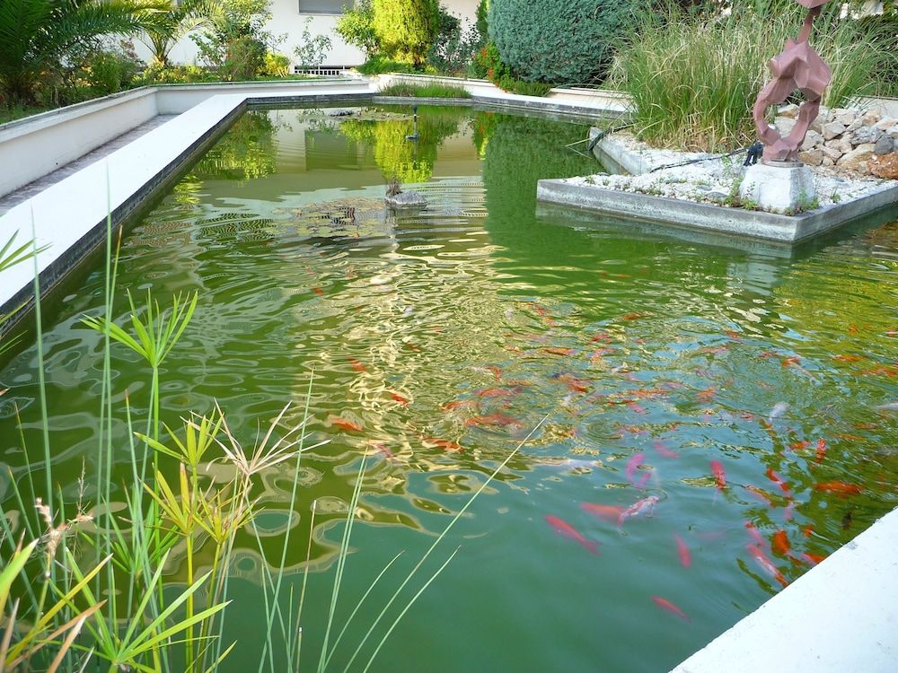 Hotel Diana 3 estrelas em Vence