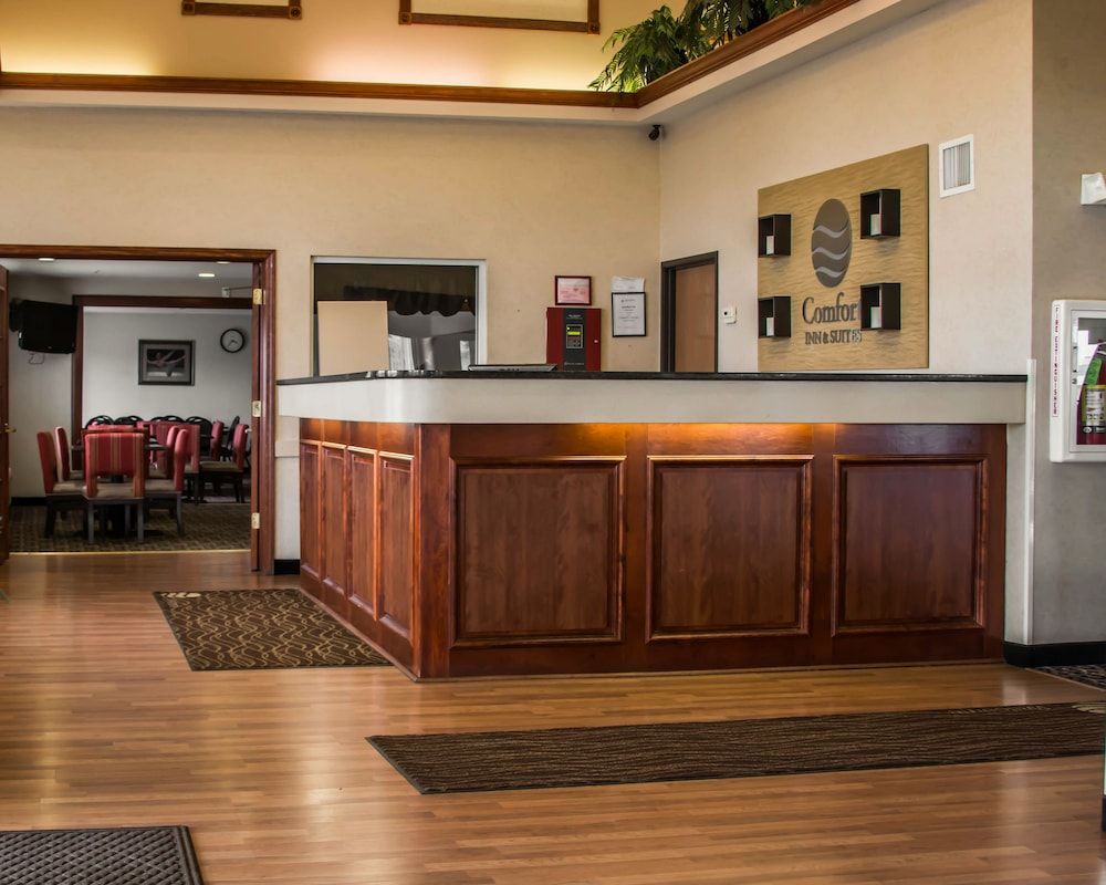 Comfort Inn & Suites Diamondale – Lansing 2