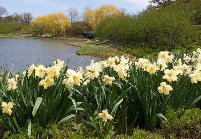 TownePlace Suites Chicago Lombard 3