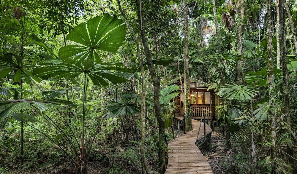 Daintree Wilderness Lodge