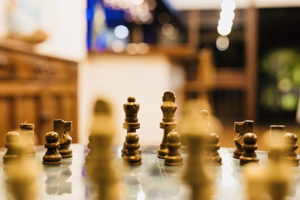 Daintree Wilderness Lodge 2