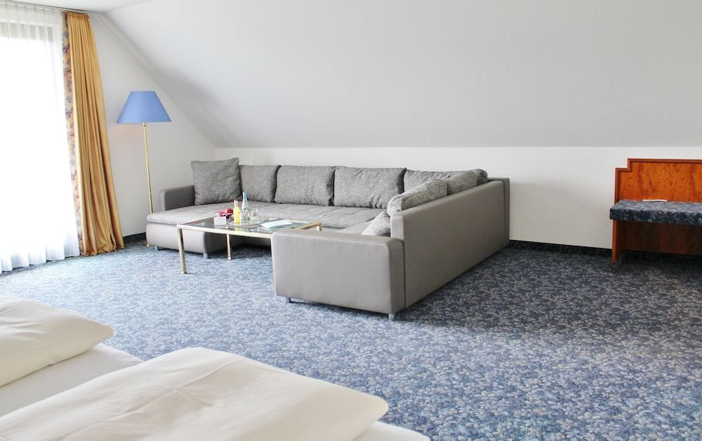 Alpina Lodge Hotel Oberwiesenthal 3