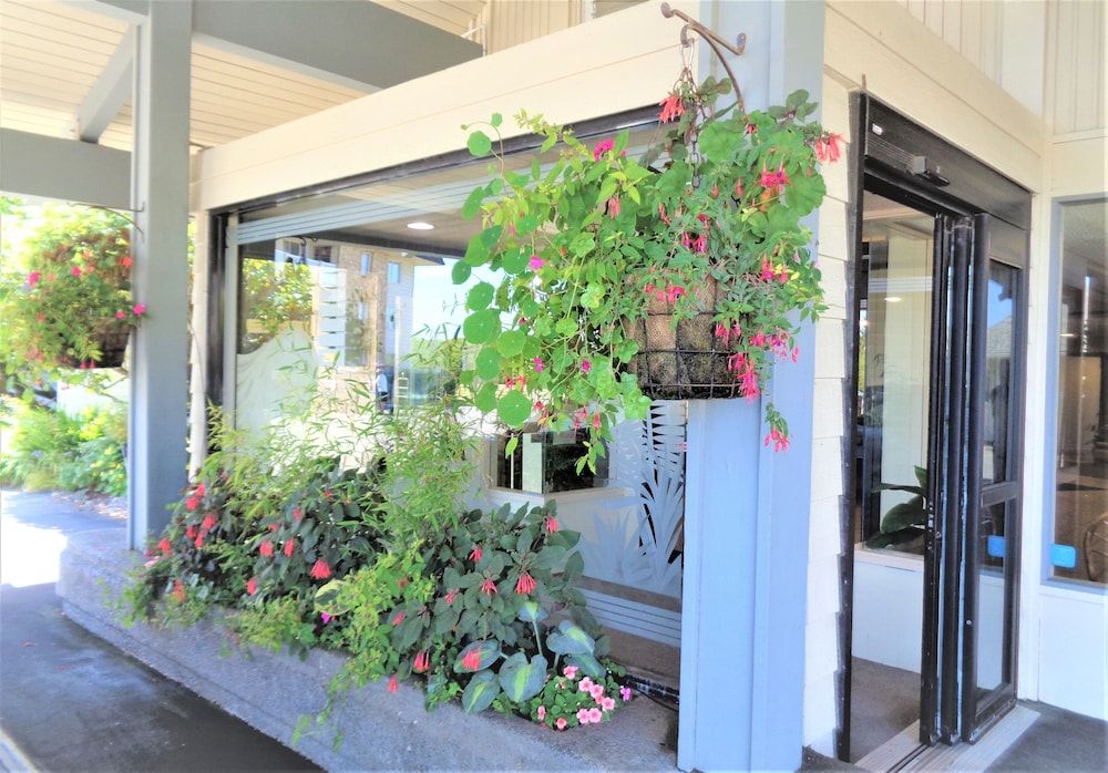 The Polynesian Resort 2