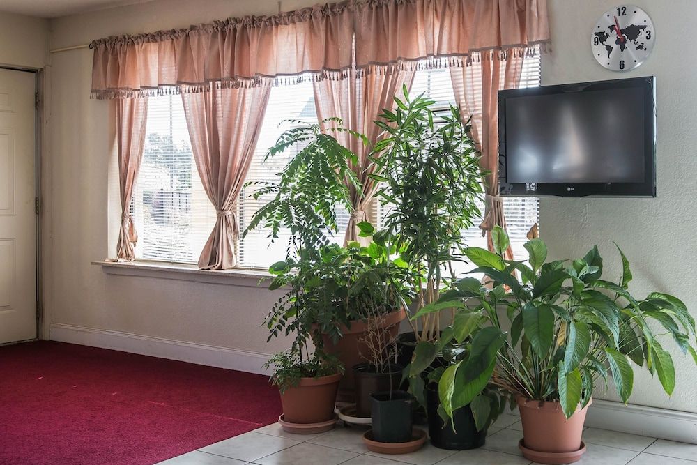 Rodeway Inn & Suites 3