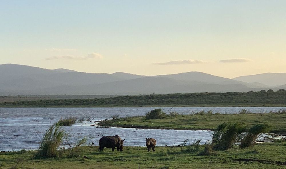 Shayamoya Tiger Fishing and Game Lodge