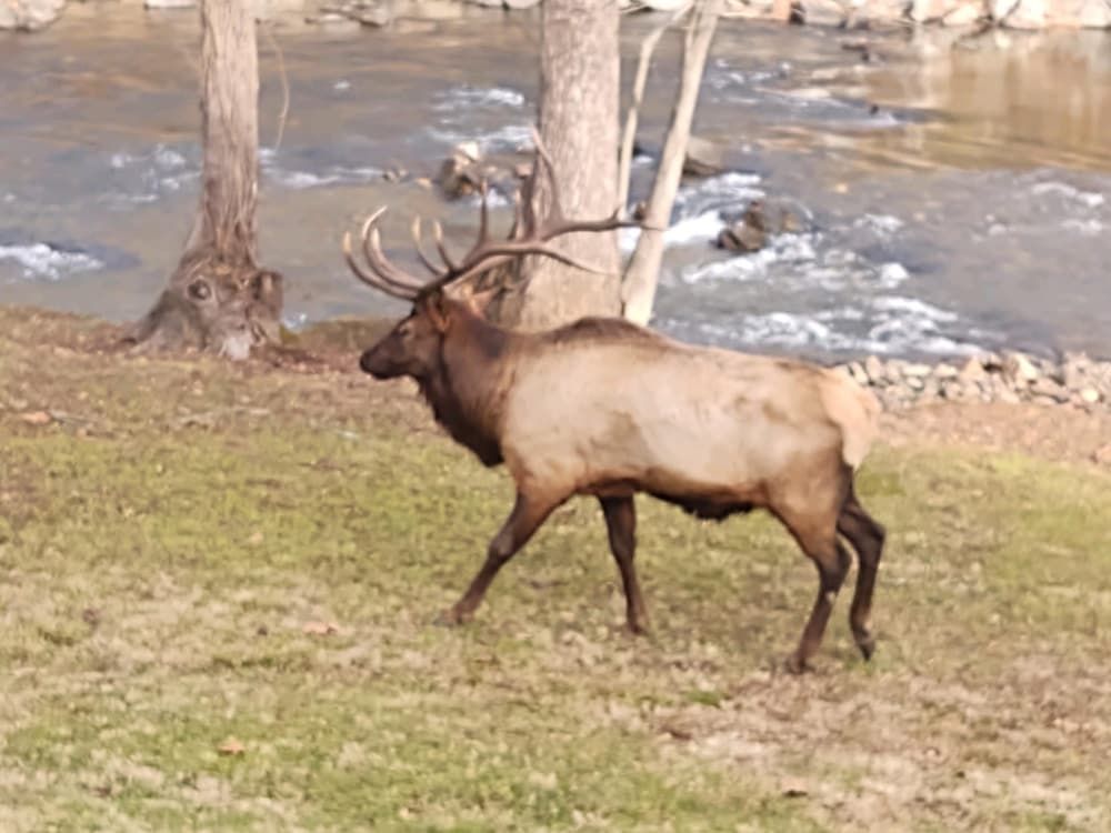 Quality Inn Cherokee 3 estrelas em Cherokee