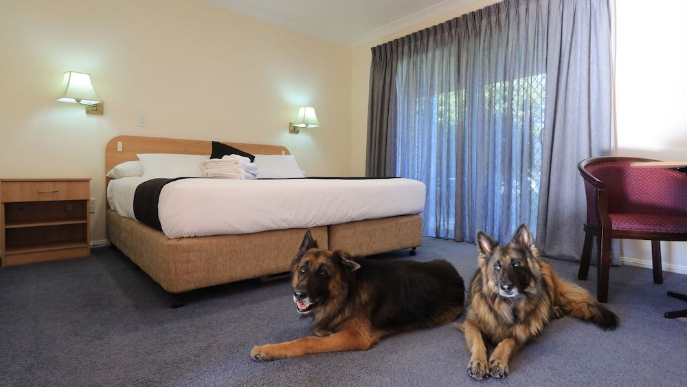 Bushmans Motor Inn 2