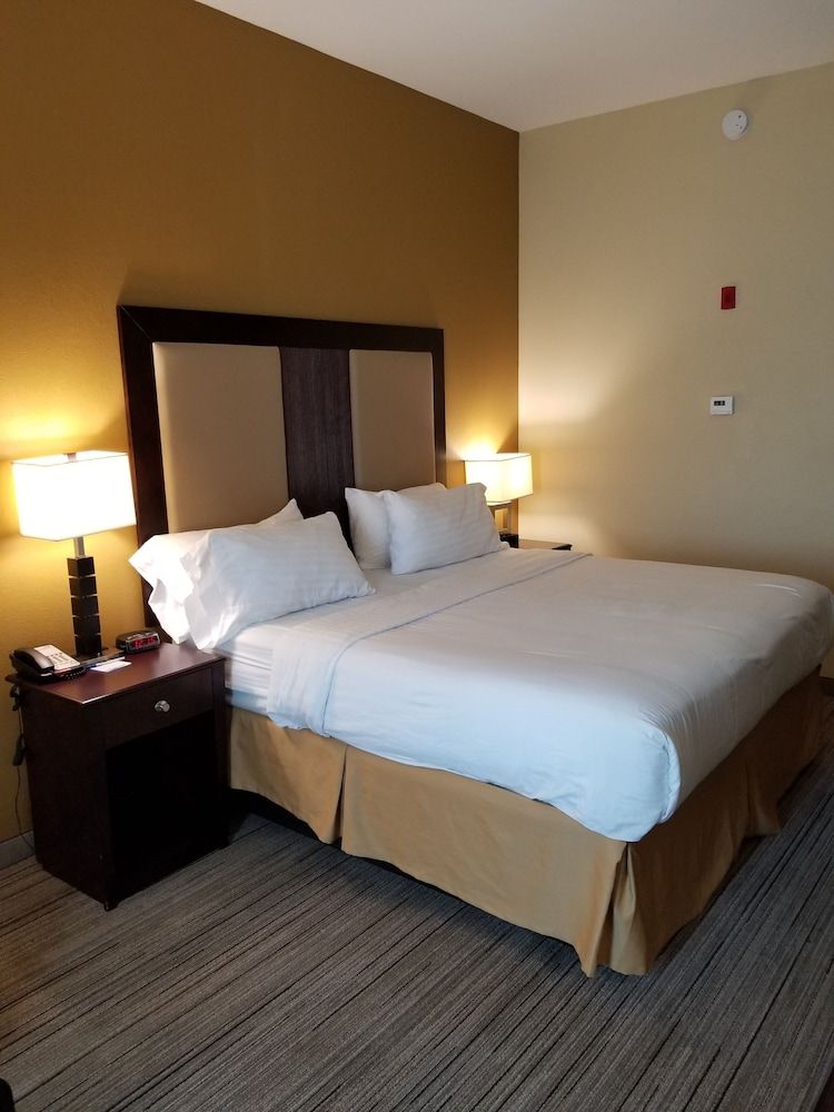 Holiday Inn Express & Suites Gulf Shores by IHG 3