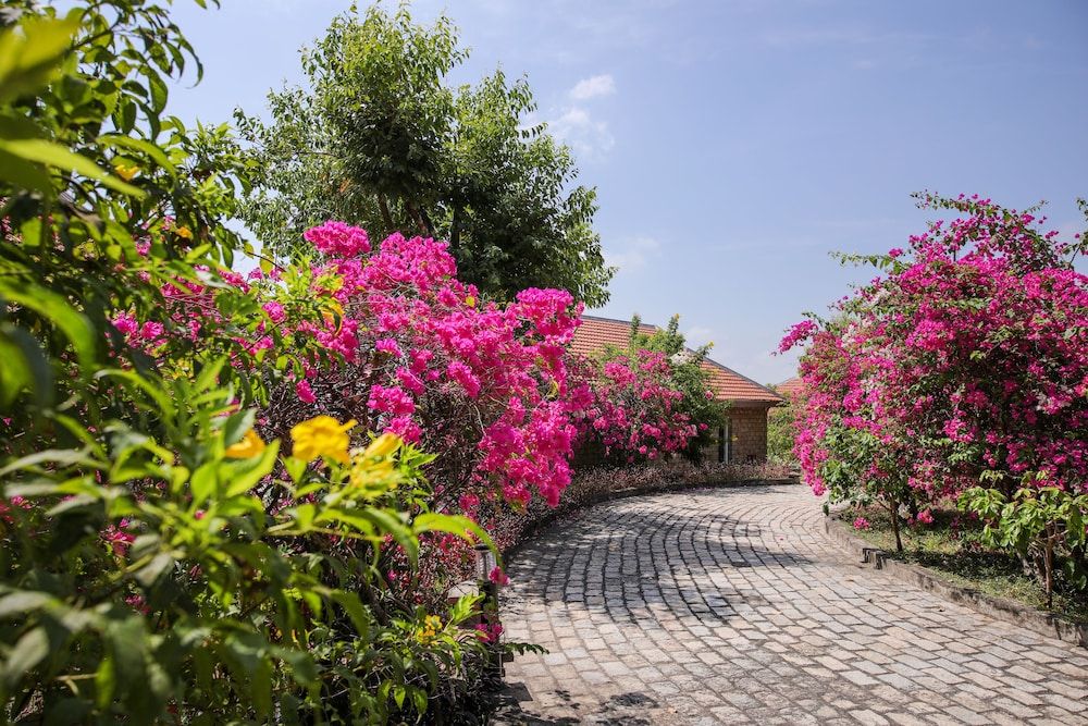 Victoria Nui Sam Lodge 2