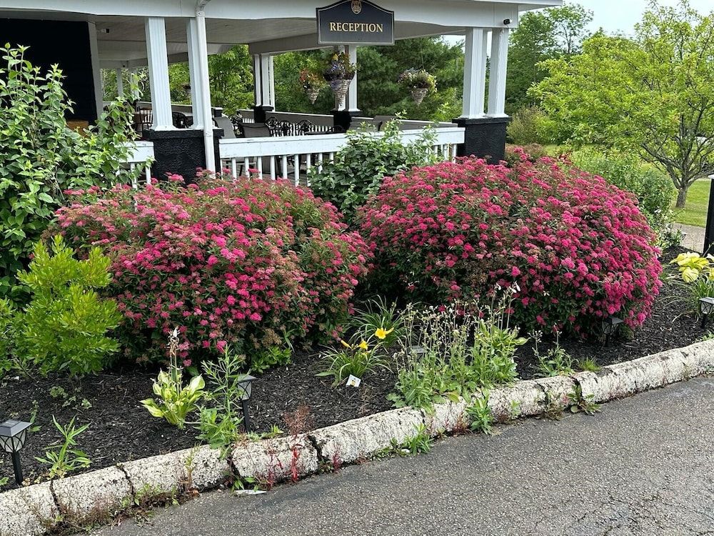 Ceilidh Country Lodge 3