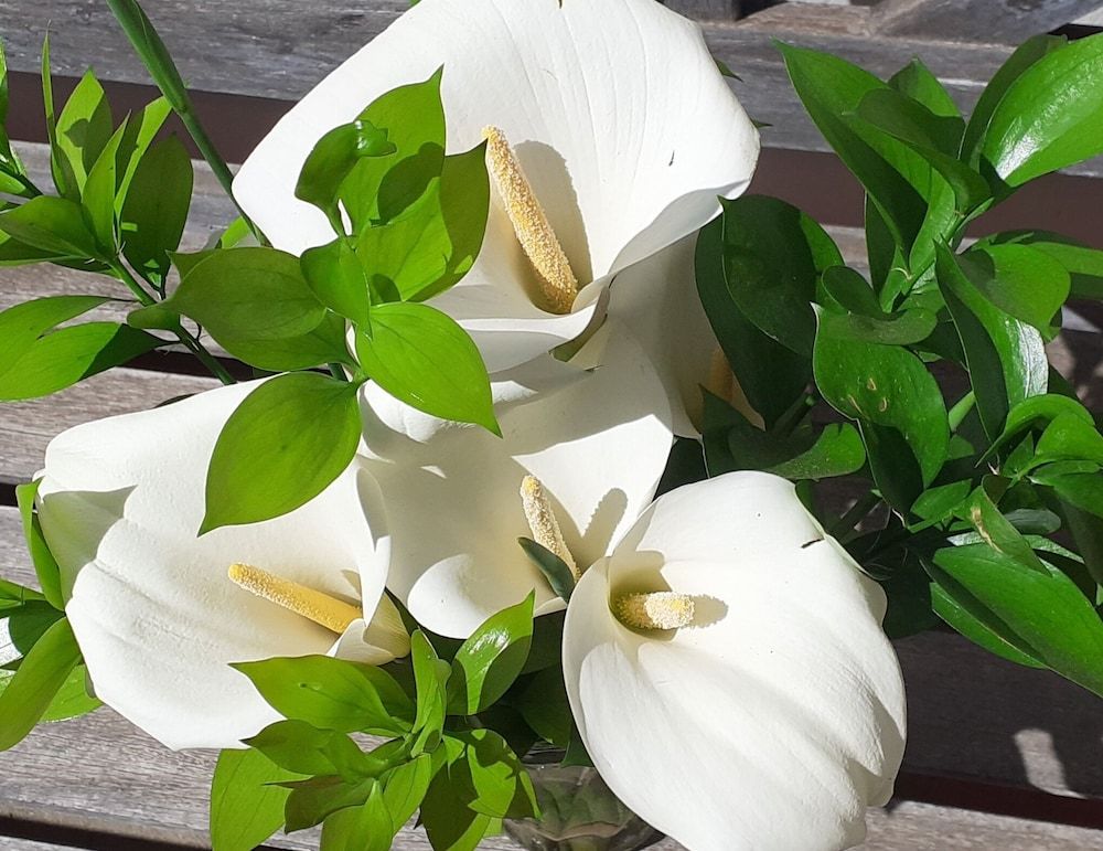 GUBAS DE HOEK meet eat sleep 2