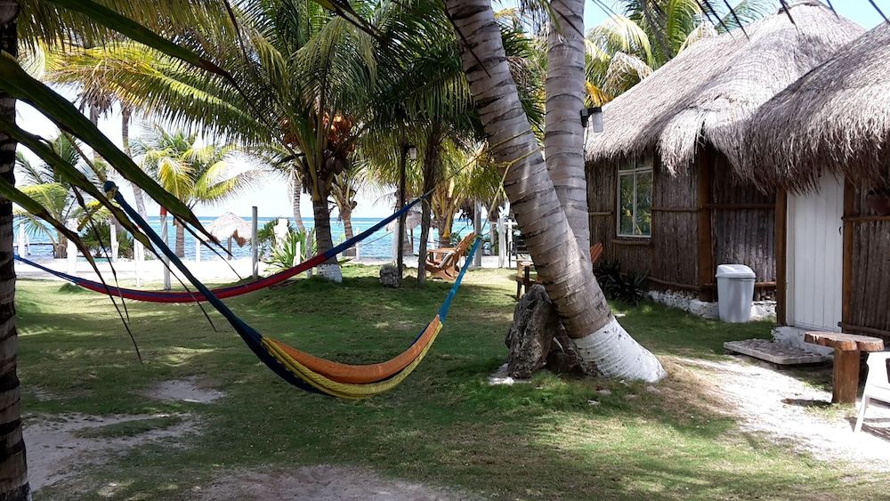 Las Cabañas Del Doctor 3