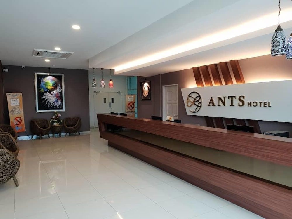 Ants Hotel 3