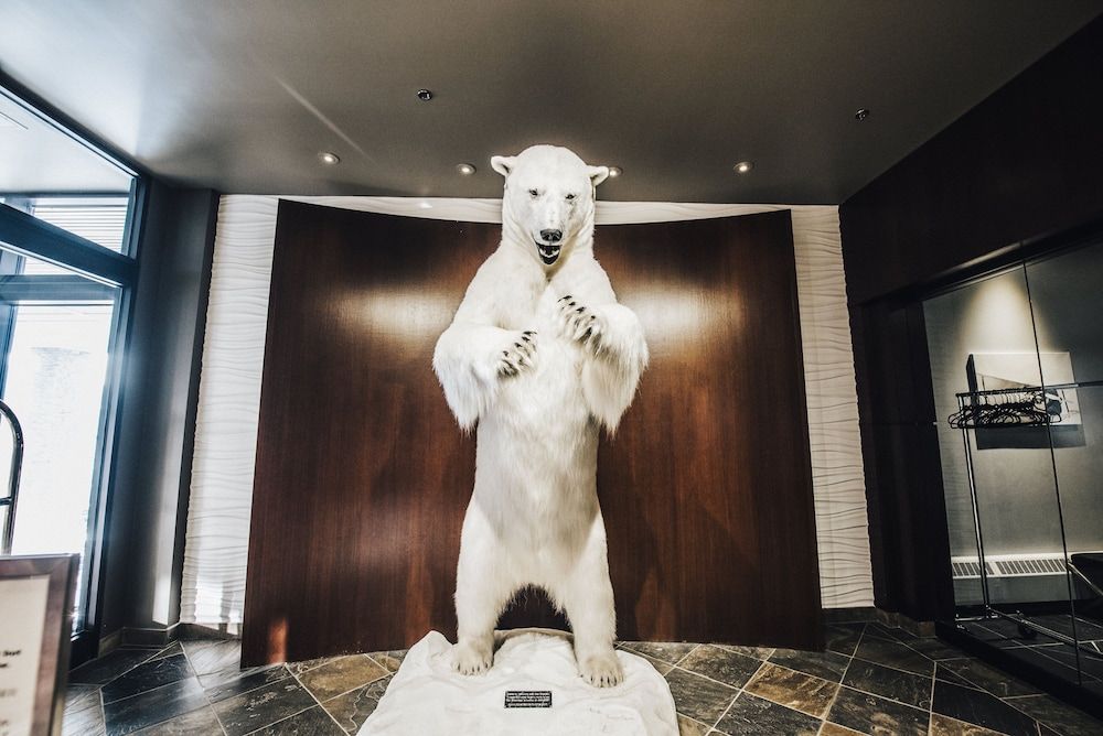 The Explorer Hotel Yellowknife 2