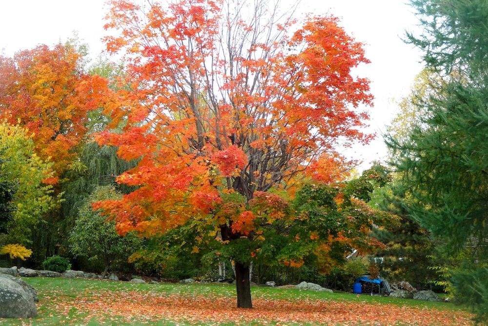 Hotel Motel Bonsoir 3