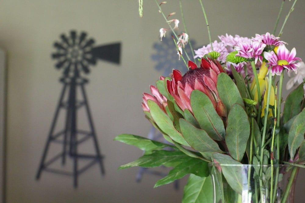 17 on Bird Guest House 2