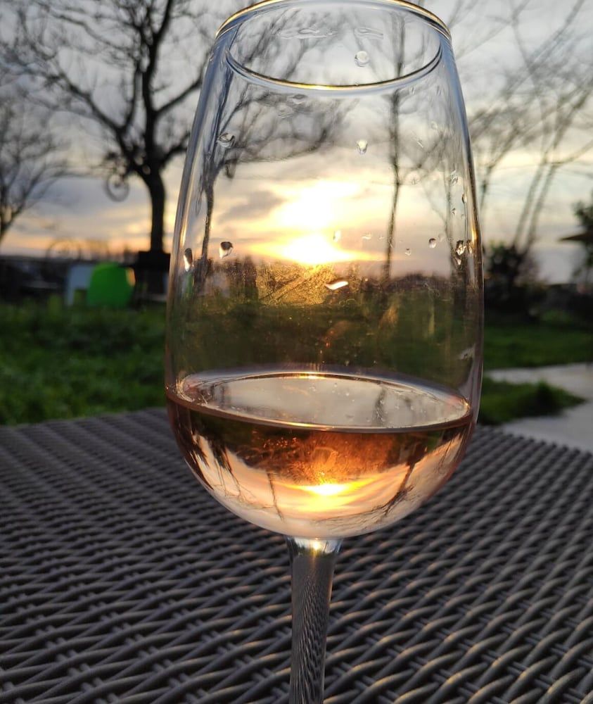 Au Vélo dans l'Arbre