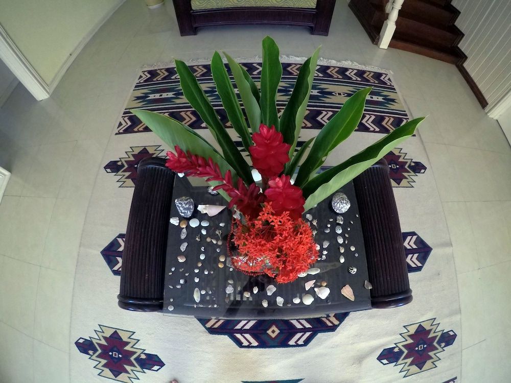 All Nations Guesthouse 2