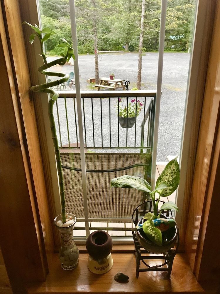 Twin Peaks Lodge and RV Park 2