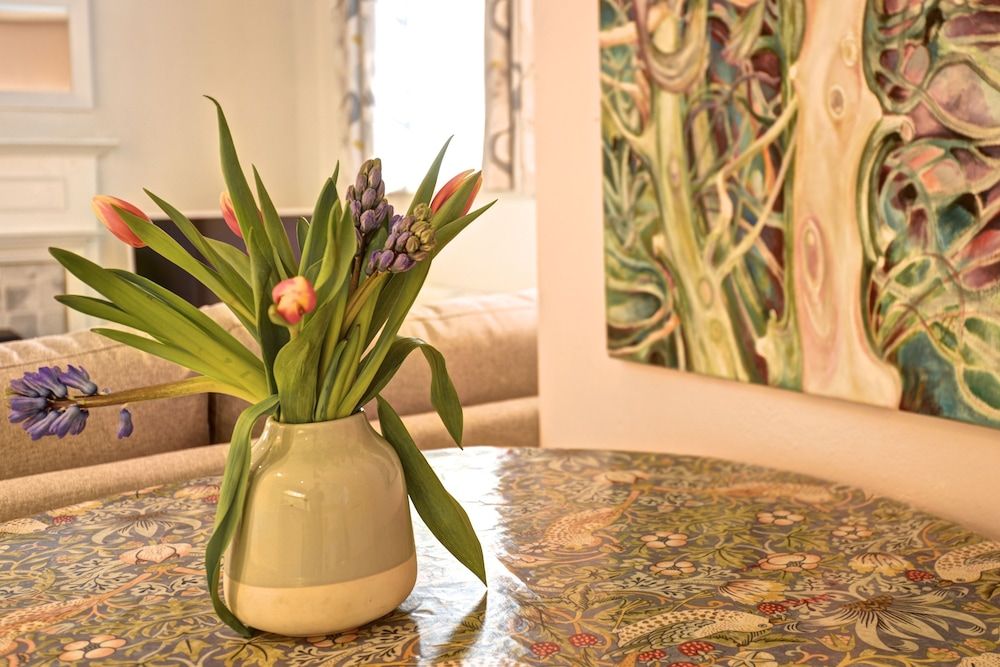 Holiday Cottages and North Star Apartment 2