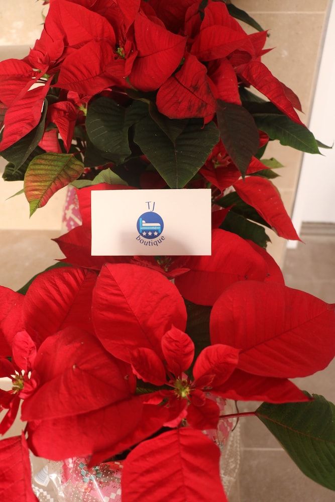 TJ Boutique Accommodation 2