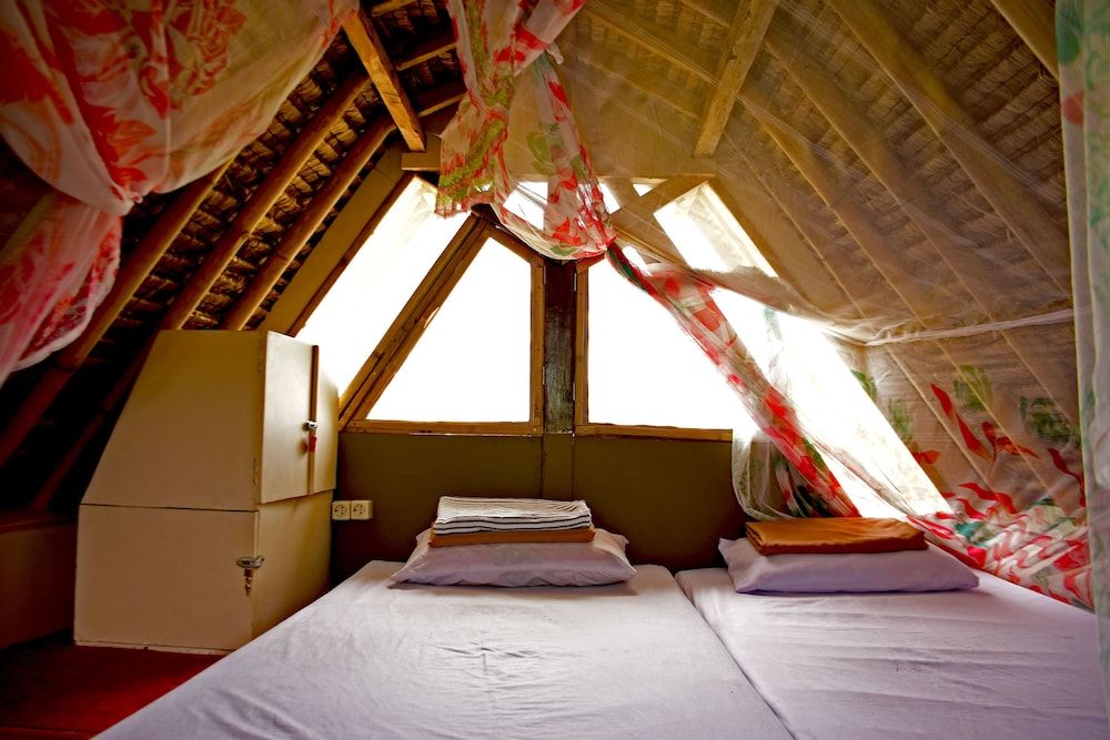 The Rabbit Tree - Hostel 3