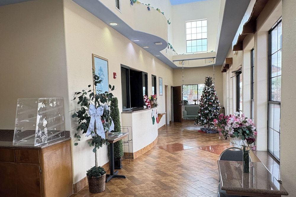 Regency Inn & Suites By Capital O Houston IAH Airport 3