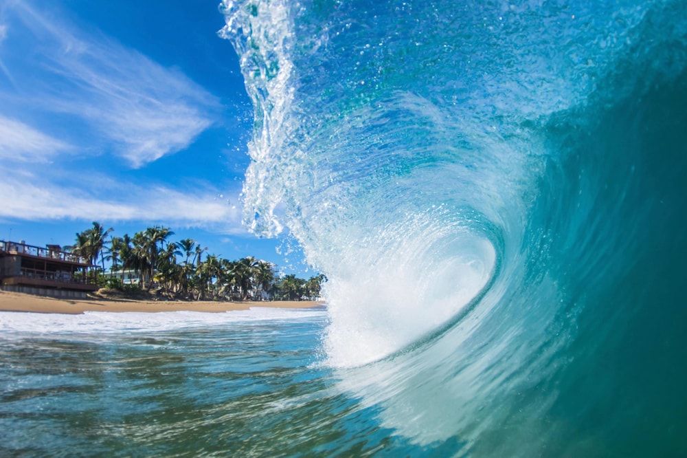 Tamboo Beside the Pointe