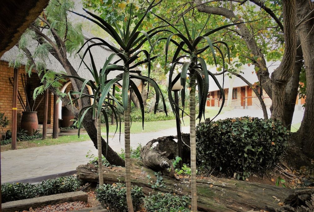 Klein Bosveld Guesthouse 3