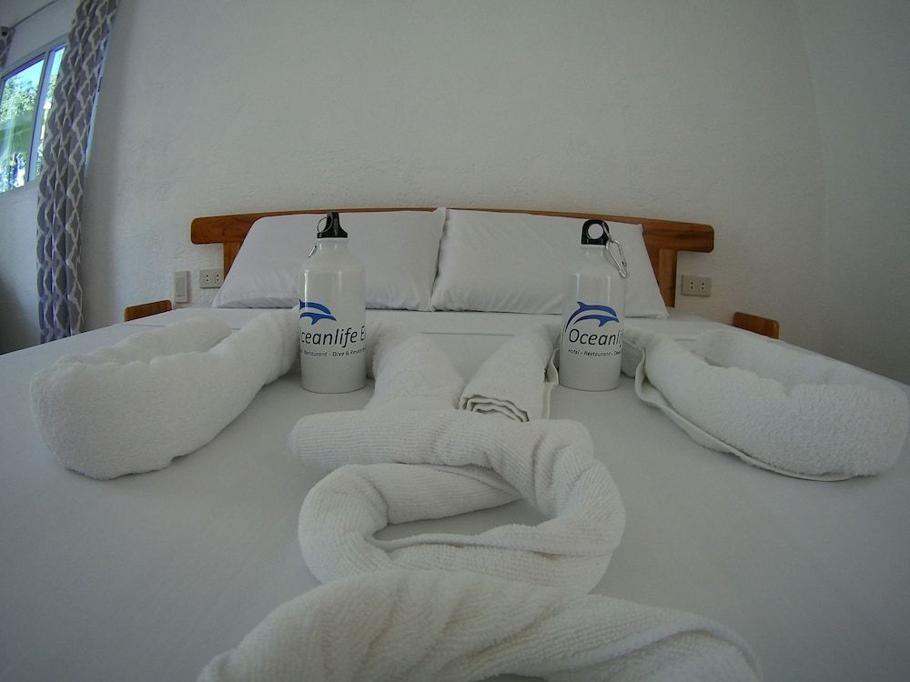 Oceanlife Explorers 2