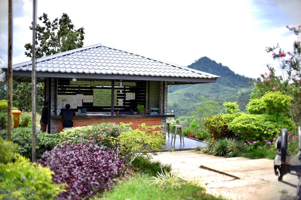 Sabah Tea Resort 2