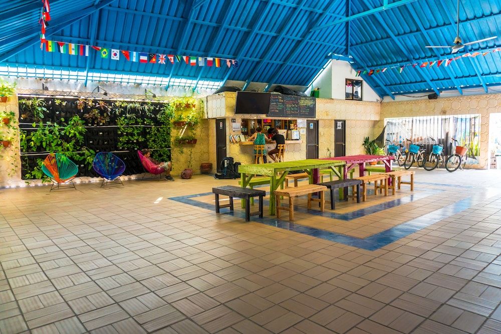 Wonderland Hostel By GB Collection 2