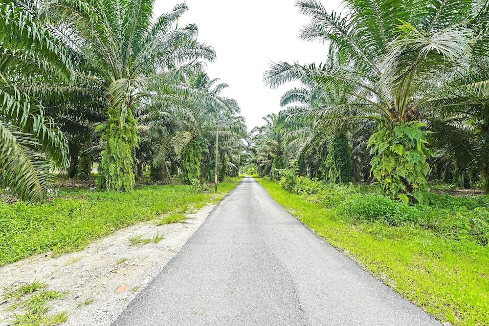 OYO Home 90332 Jentayu Homestay Pontian 3