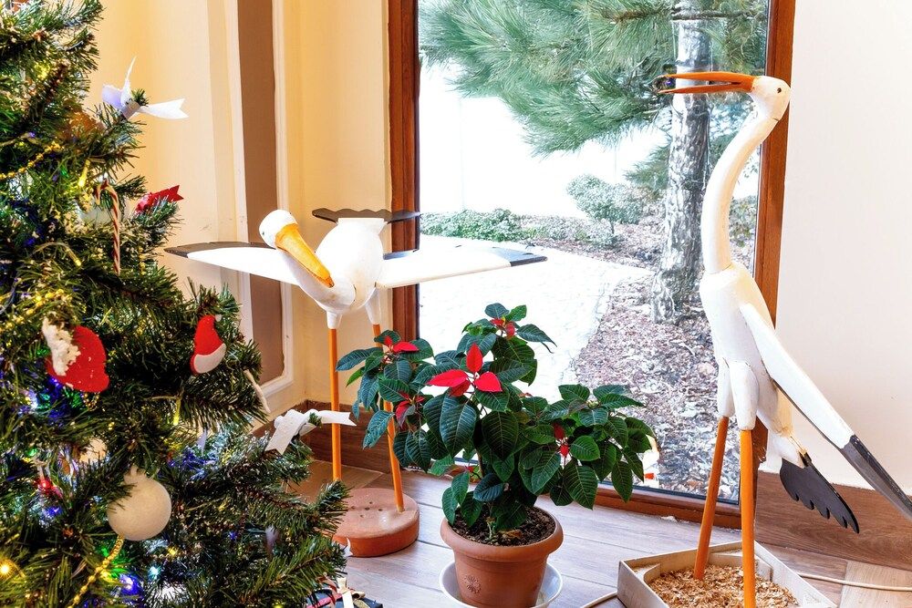 Continent Hotel Kapadokus Thermal 2