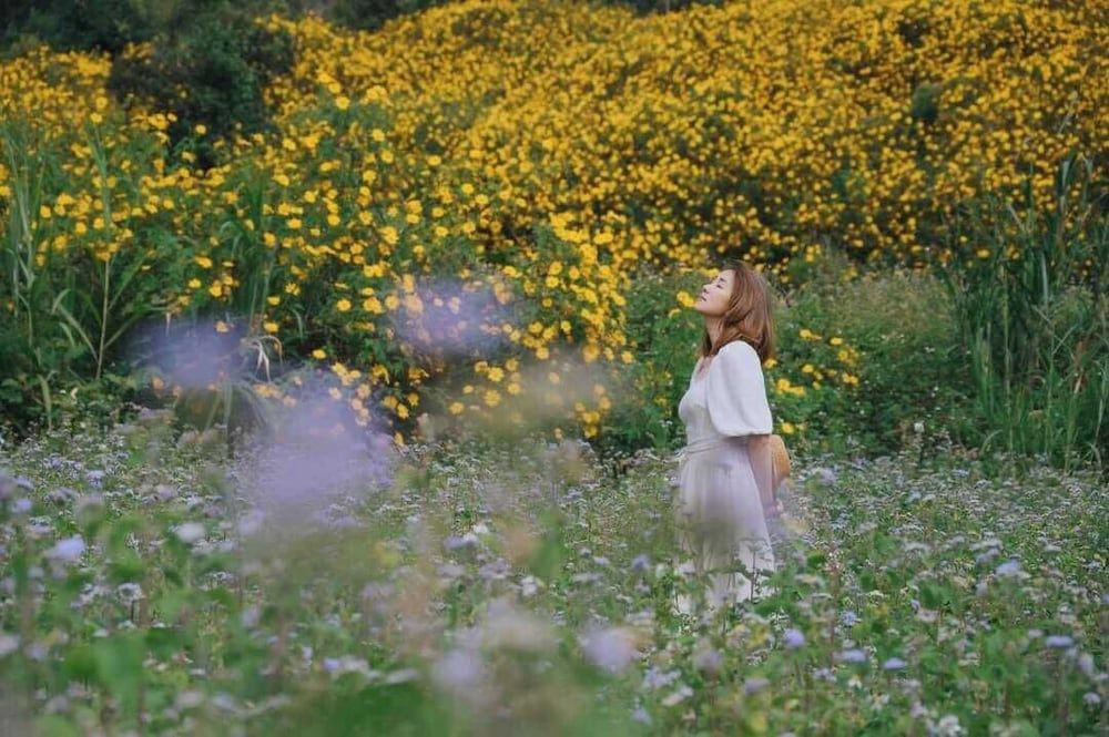 Moc Nhien Hotel Da Lat