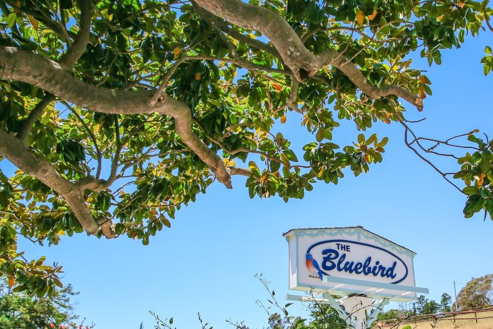 Bluebird Inn 3 estrelas em Cambria
