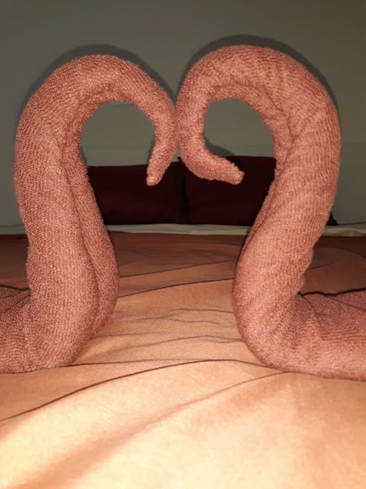 Carpe Diem Guest House 3