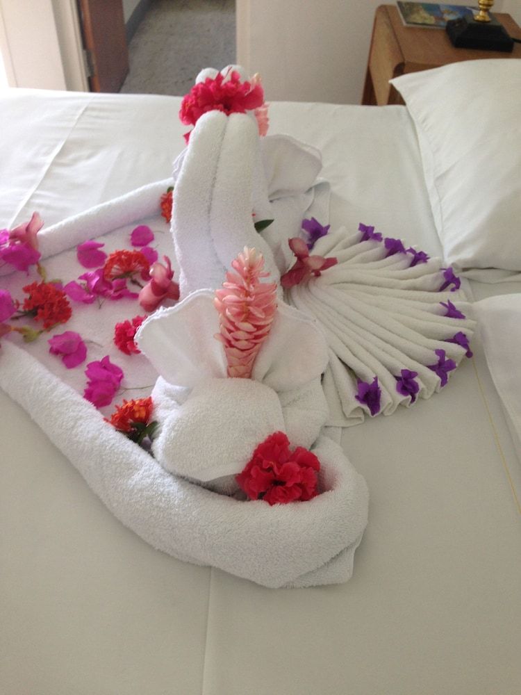 Palm View Guesthouse and Conference Centre 3